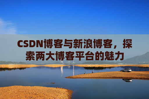 CSDN博客与新浪博客,探索两大博客平台的魅力